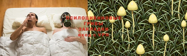 каннабис Покачи